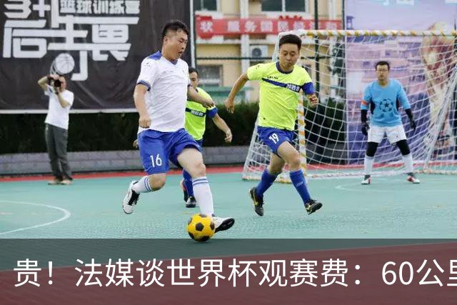 贵！法媒谈世界杯观赛费：60公里火车98美元，有人4天花4500欧元